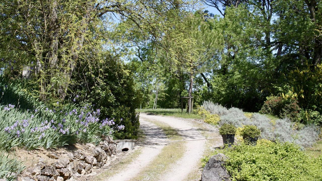 Bed and Breakfast Domaine De Perches Gaillac Exterior foto